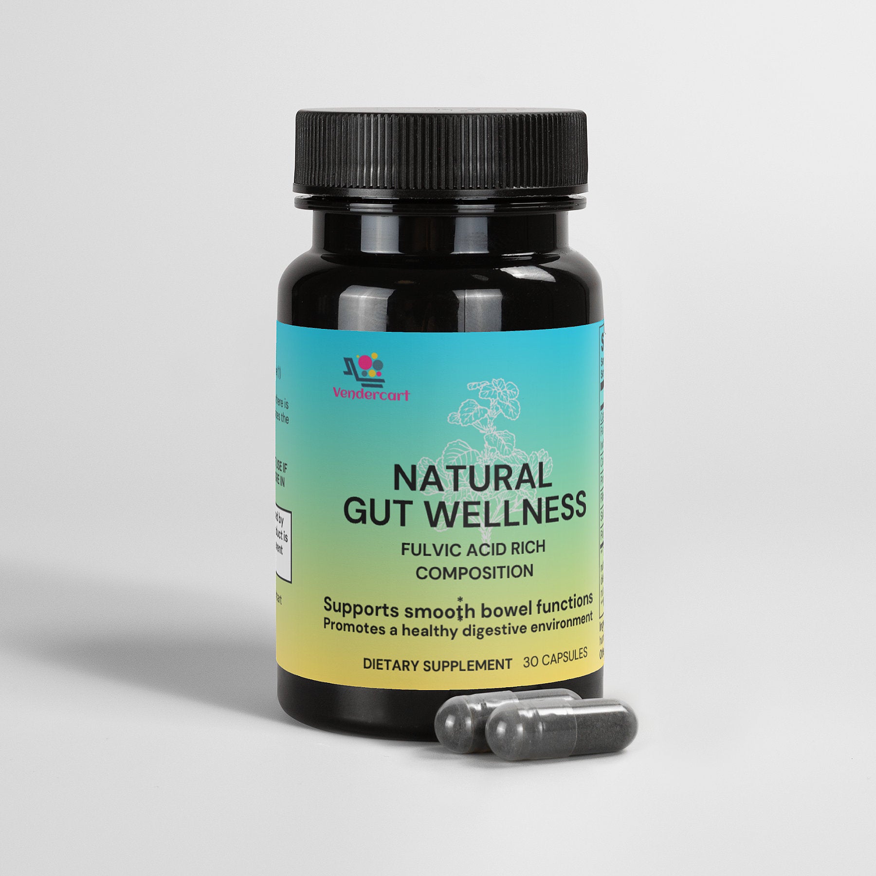 Natural Gut Wellness Capsules with Fulvic Acid & Antioxidant Botanicals